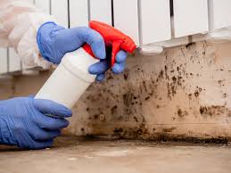 Best Black Mold Removal  in Clinton, MS